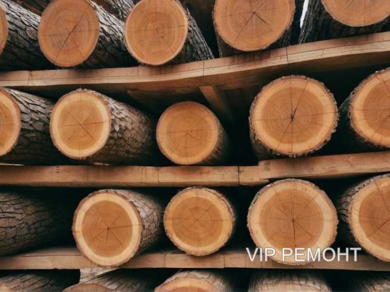 Выбор подходящей древесины для рамы