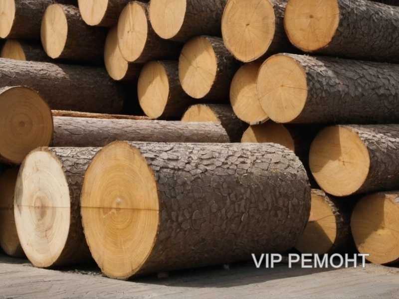 Борьба с плесенью и грибком