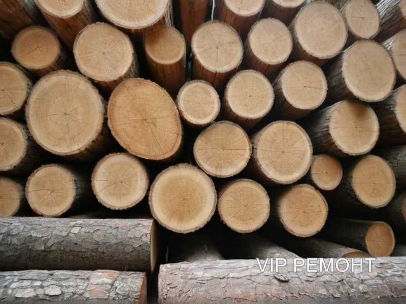 Червоточины: допустимые размеры и количество