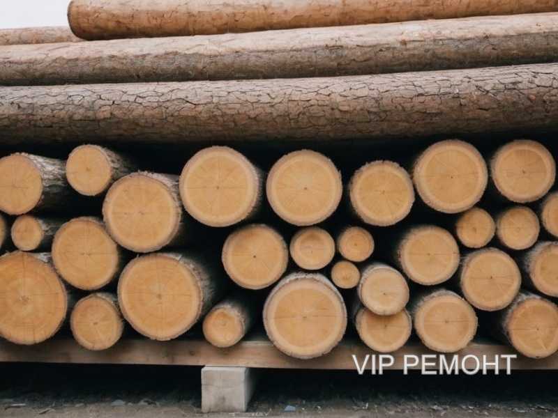 Оценка устойчивости к гниению и вредителям